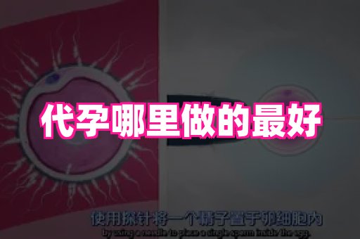 长沙助孕网站 1