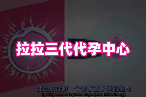 长沙助孕网站 2